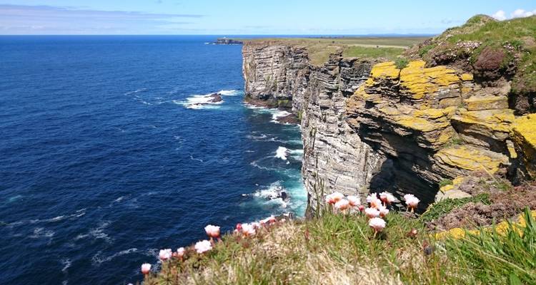 islas Orcadas y el lejano norte 3 días - Highland Experience Tours 6