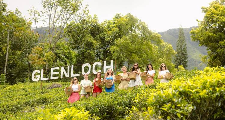 Groupe de femmes tenant des paniers devant le panneau de la plantation de thé de Glenloch.