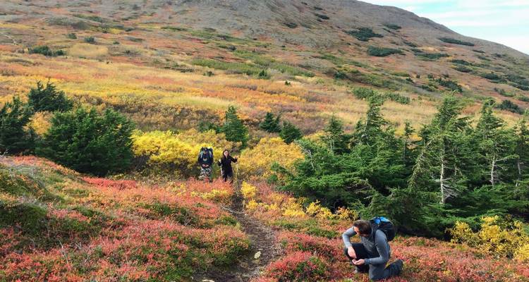 People hiking through colorful autumn foliage in the mountains.