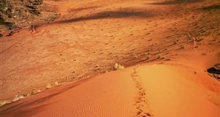 Petra, Wadi Rum and Dead Sea 4 days - Booking Tours 2