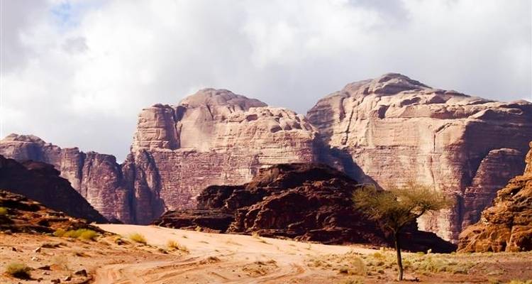 Explorez Petra et Wadi Rum 3 jours - Booking Tours 7