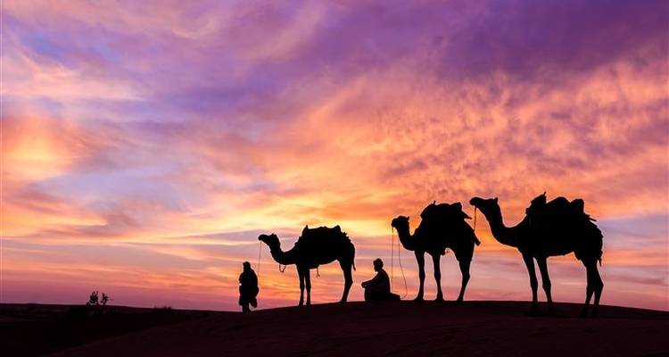 El Cairo 4 días - Booking Tours 4