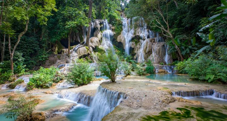 Cascade dévalant à travers une forêt verdoyante luxuriante.
