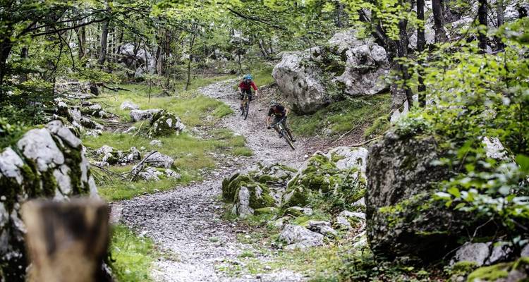 Cyclistes sur un sentier rocheux dans une zone boisée