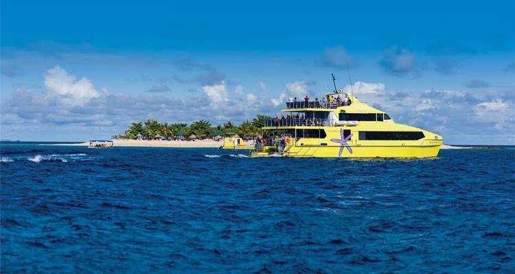 Un catamaran-ferry jaune éclatant navigue sur une eau d'un bleu éclatant en direction d'une minuscule île bordée de palmiers.