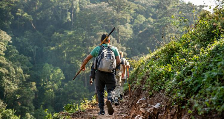 Masai Mara et Gorilles - Circuit classique (camping et hébergement) 2025 - Nomad Africa Adventure Tours 2