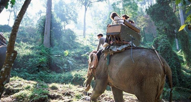 North Thailand Highlights, Small Group Tour (English Only) - Destination Services Thailand 4