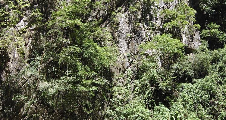 D'Andaman au Golfe, excursion en petit groupe - Destination Services Thailand 3