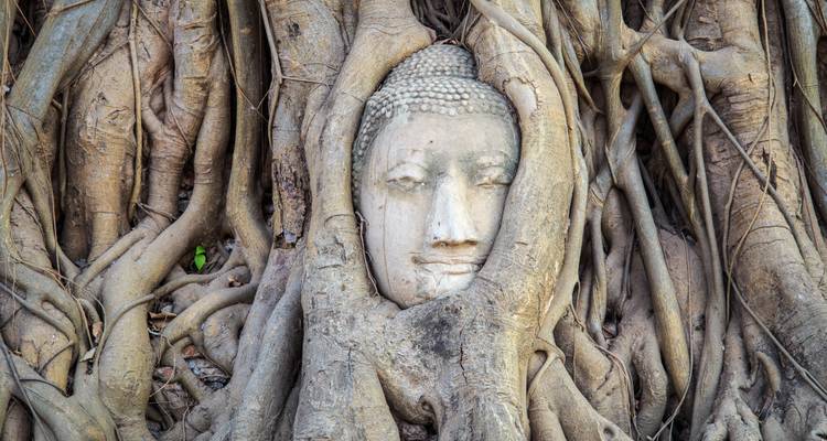 Grand Tour de Thaïlande de 10 jours, excursion en petit groupe (en anglais uniquement) - Destination Services Thailand 10