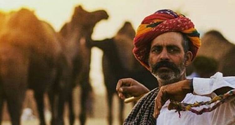 Triangle d'or avec la foire aux chameaux de Pushkar 2019 - Yolo India Tours 5
