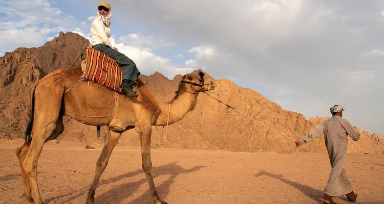 Le meilleur de la Jordanie et de l'Égypte - Flo Tours 7