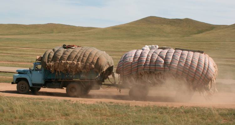 Le meilleur de la Mongolie - Flo Tours 3