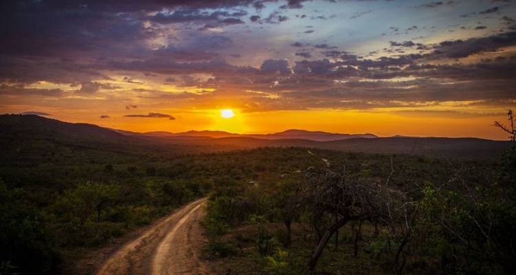 South Africa Odyssey (from Johannesburg to Cape Town) - Cullinan Guided Journeys 9