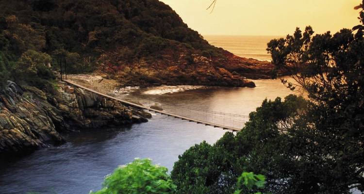 South Africa Odyssey (from Johannesburg to Cape Town) - Cullinan Guided Journeys 8