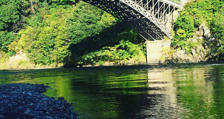 Puente de hierro sobre un río tranquilo rodeado de vegetación.