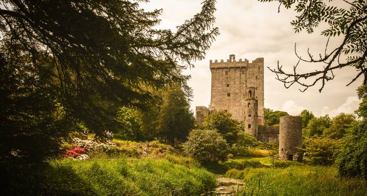 Circuito de 3 días en grupo pequeño del castillo de Blarney, Kilkenny y el whisky irlandés desde Dublín - Rabbie’s Small Group Tours 10