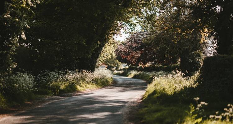 Circuito de 3 días en grupo pequeño del castillo de Blarney, Kilkenny y el whisky irlandés desde Dublín - Rabbie’s Small Group Tours 4