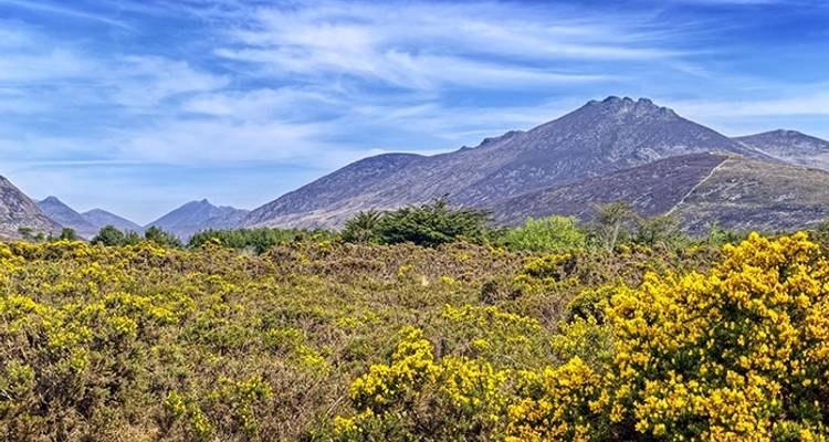 Circuito de 3 días en grupo pequeño Descubre Irlanda del norte desde Dublín - Rabbie’s Small Group Tours 7