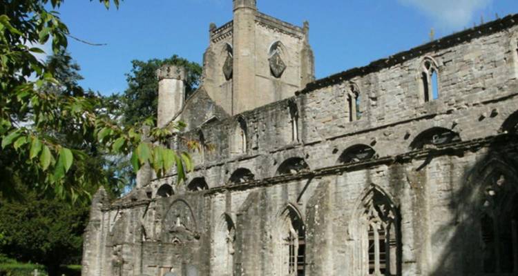Ruines de pierre usée d'une abbaye médiévale encadrées par des branches feuillues.