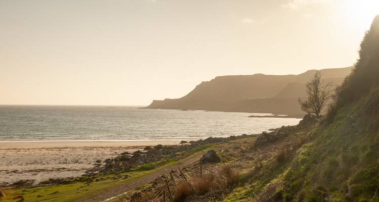Une plage avec des falaises herbeuses et la mer sous un ciel ensoleillé.