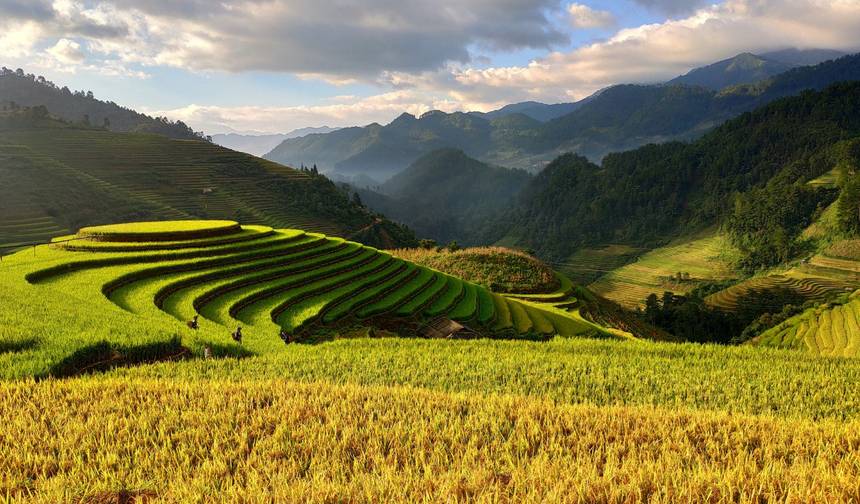ハノイ発ホーチミン・シティ着 10日間ベトナムツアー — 1