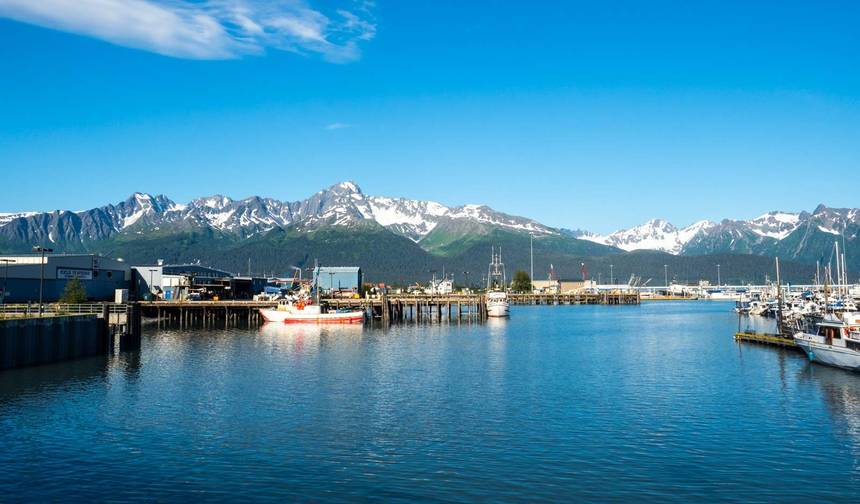 Montanhas da Costa Norte: Excursão Panorâmica de Whitehorse a Anchorage — 1