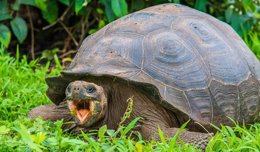 4-dniowe skoki po wyspach Galapagos — 1
