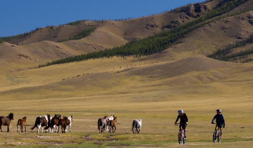 Cycling in Mongolia - Naadam Festival — 1