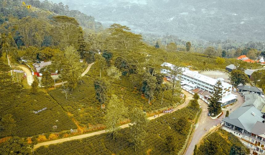Essence of Sri Lanka - 9 Days of Culture, Nature & Wildlife, Private Tour — 1