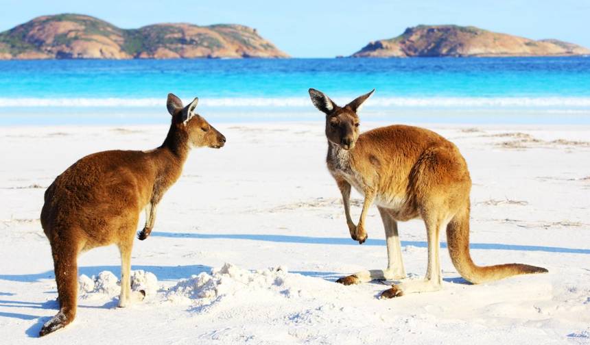 Australia – Przygoda z dziką przyrodą na wybrzeżu — 1