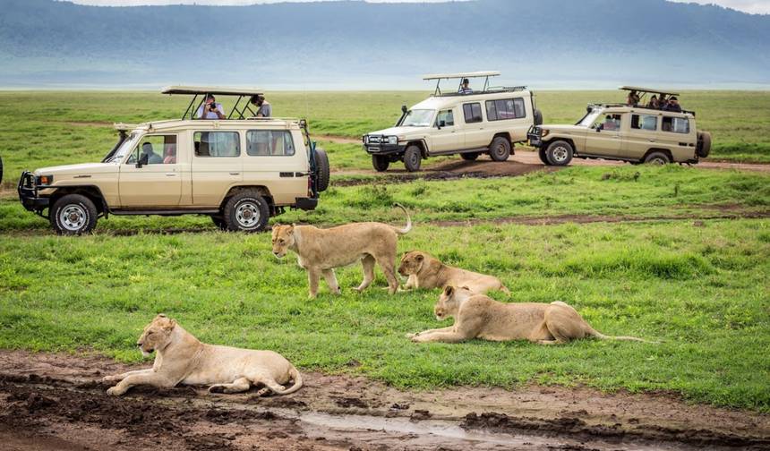 Simba Safari, Tanganyika Wilderness Camps — 1