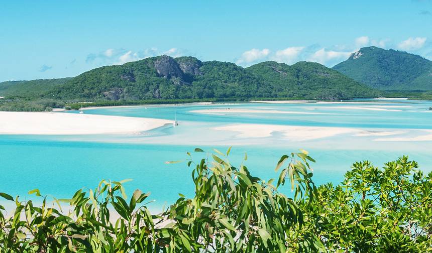 Brisbane to Cairns Adventure — 1