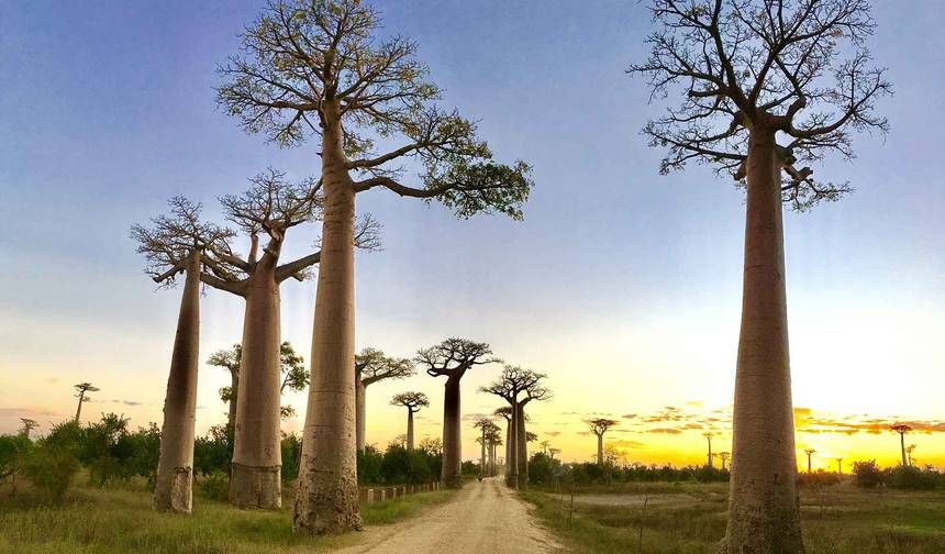 Tour Autêntico por Madagáscar — 1