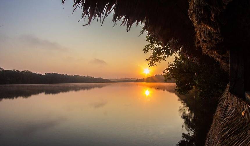 Lontras Gigantes em Tambopata — 1