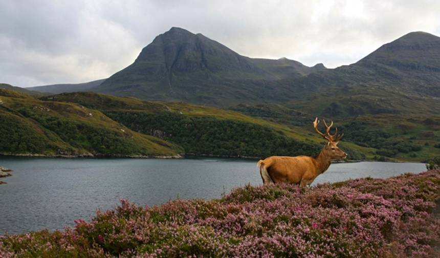 جولة مجموعات صغيرة لمدة 3 أيام على طريق North Coast 500 من Inverness — 1