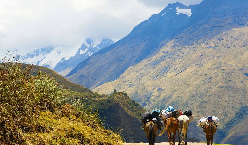 Aventura de Trekking Salkantay de 8 Dias — 1