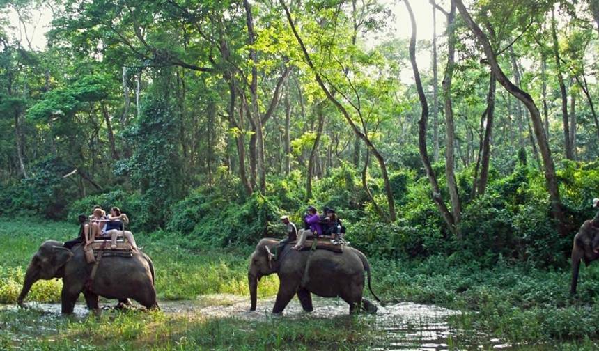 Pacote Turístico em Chitwan - 2 Noites 3 Dias — 1