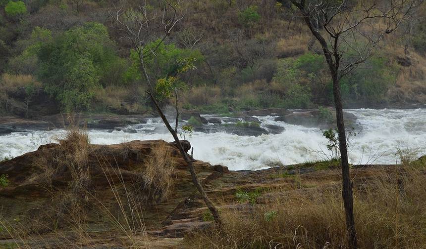 Safáris de 3 dias para observação da vida selvagem em Murchison Falls — 1