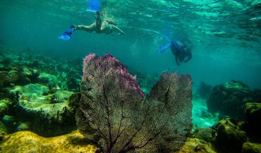 Journeys：Belizeを探検（National Geographic） — 1