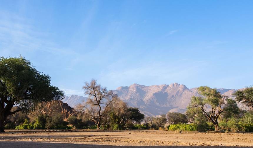 África Definitiva: Safáris e a Savana — 1