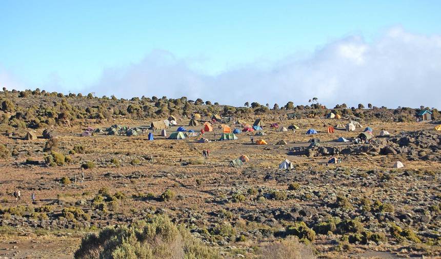 6 Dni - Trasa Machame — 1