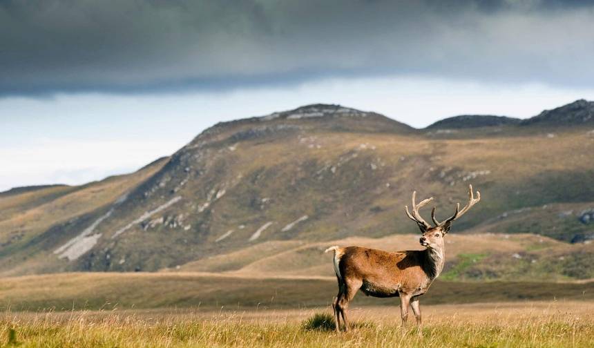 Trilha das Terras Altas Inspirada em Outlander (13 Dias) — 1