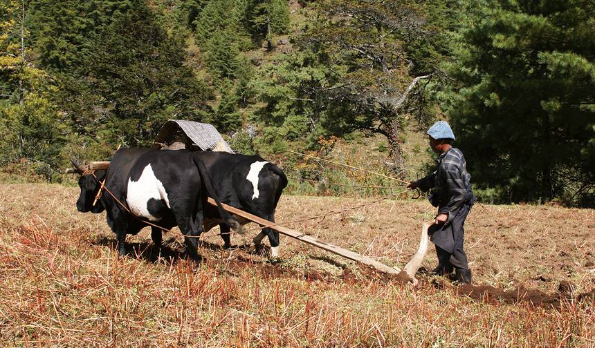 Podróż przez Bhutan — 1