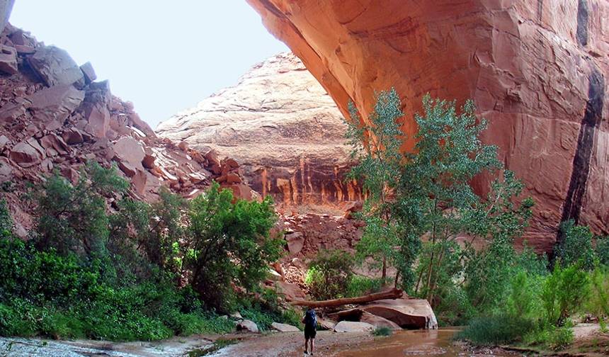 Przygoda w Coyote Gulch — 1