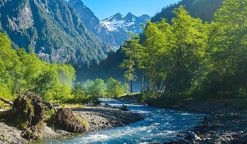 Enchanted Valley — 1