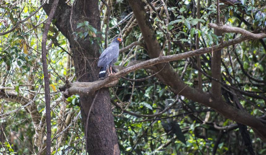 4 Dias 3 Noites na Reserva Nacional Pacaya Samiria — 1
