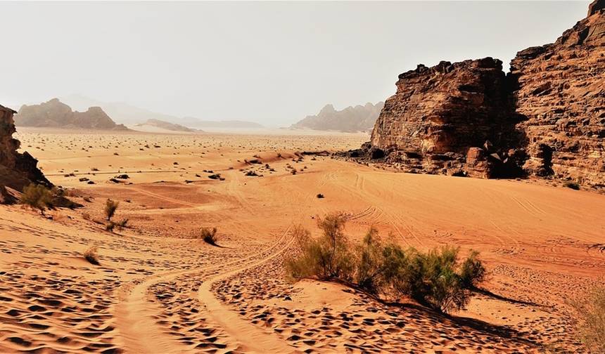 مغامرة عائلية في الأردن والبتراء والصحراء — 1