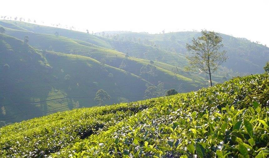 Destaques do Sri Lanka, Tour Privado — 1