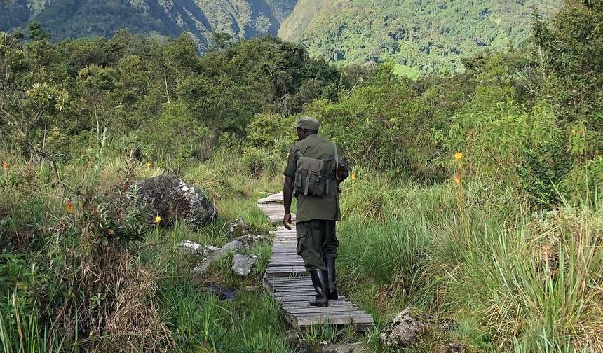 5 Dias de Trekking de Gorilas e Canoagem no Lago Bunyonyi — 1