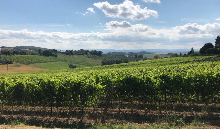 Vinhedos e trufas do Piemonte - Passeio de bicicleta em grupo pequeno — 1